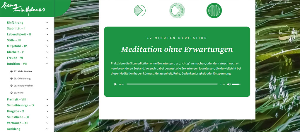 Ein Screenshot aus dem Modul "Intuition". Meditation ohne Erwartungen.
Praktiziere die Sitzmeditation ohne Erwartungen, es „richtig“ zu machen, oder dem Wusch nach einem besonderen Zustand. Versuch dabei bewusst alle Erwartungen loszulassen, die du vielleicht bei dieser Meditation haben könnest, Gelassenheit, Ruhe, Gedankenlosigkeit oder Entspannung.