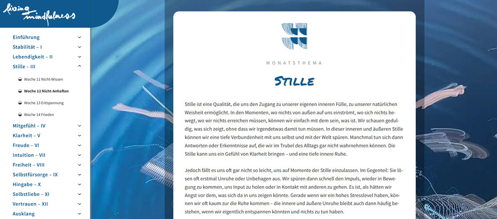 Ein Screenshot aus dem Modul "Stille". Stille ist eine Qualität, die uns den Zugang zu unserer eigenen inneren Fülle, zu unserer natürlichen Weisheit ermöglicht. In den Momenten, wo nichts von außen auf uns einströmt, wo sich nichts bewegt, wo wir nichts erreichen müssen, können wir einfach mit dem sein, was ist.